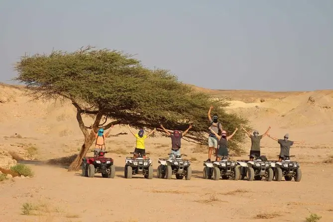 Safari in Wadi El Gemal National Park