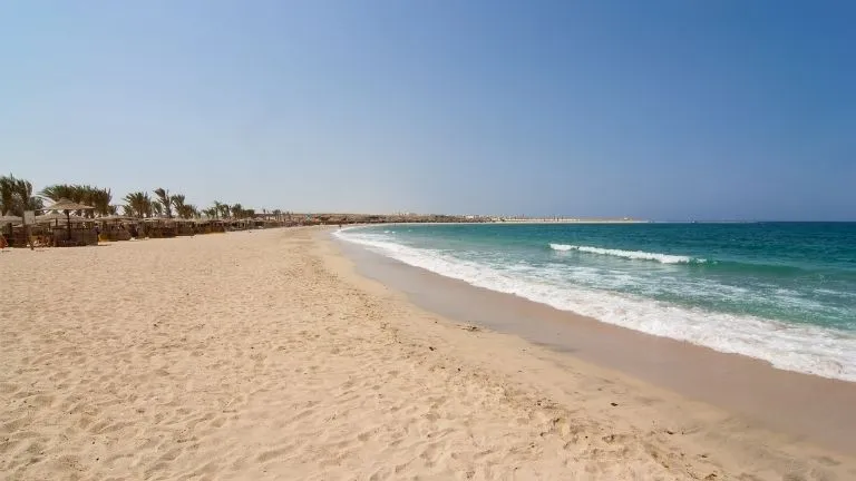 Guide for diving in marsa alam 2025 - Marsa Alam Dugong diving 3 Abu Dabbab Bay in Marsa Alam