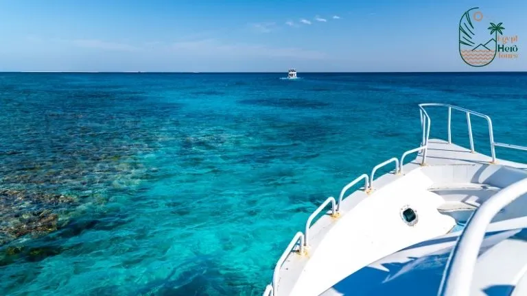 Guide for diving in marsa alam 2025 - Marsa Alam Dugong diving 6 Hamata Island Marsa Alam Snorkeling