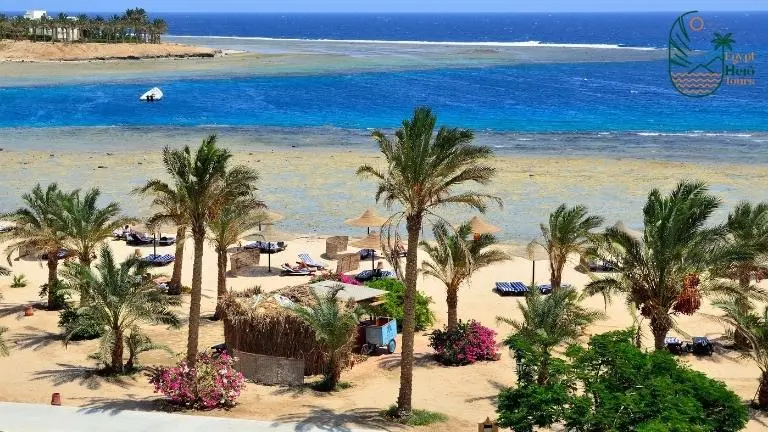 Guide for diving in marsa alam 2025 - Marsa Alam Dugong diving 7 Marsa Alam tours
