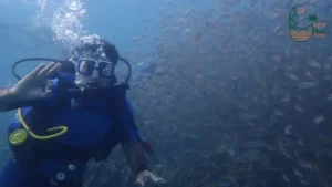 half day snorkeling tour in sharm el luli