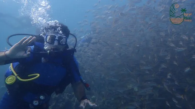 half day snorkeling tour in sharm el luli