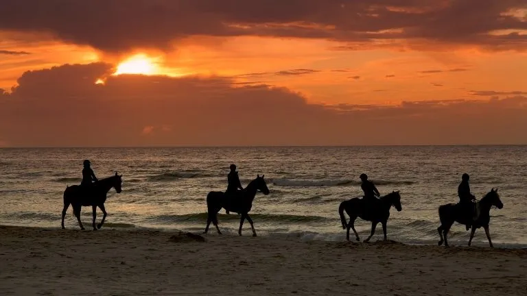 Horse riding Hurghada tour 2025 1 Horse riding Hurghada tour