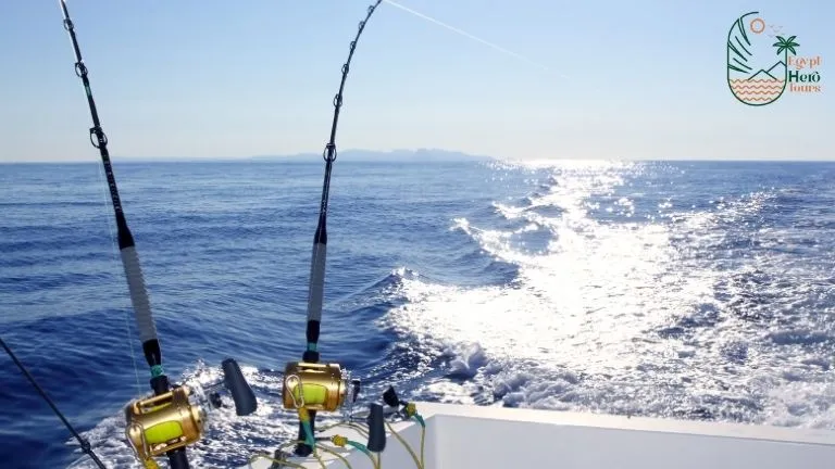 fishing day trip in hurghada