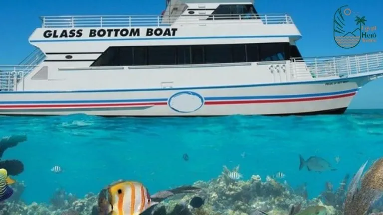 Hurghada glass bottom boat trip 2025 1 hurghada glass bottom boat trip