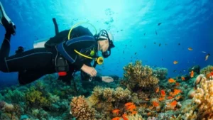hurghada scuba diving tour