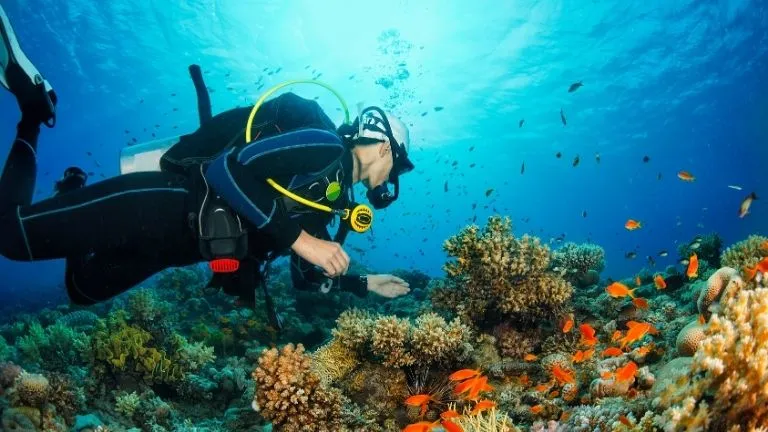 Hurghada scuba diving tour 2025 : Enjoy colorful coral reefs 1 hurghada scuba diving tour