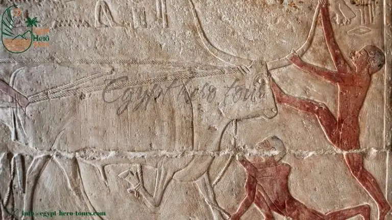 The Mastaba of Mereruka at Sakkara 2025 2 tomb of mereruka